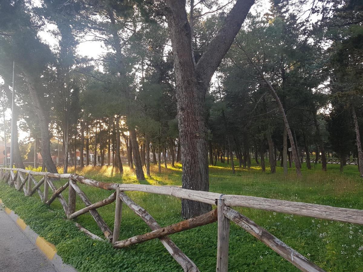 B&B La Pineta Quasani 外观 照片