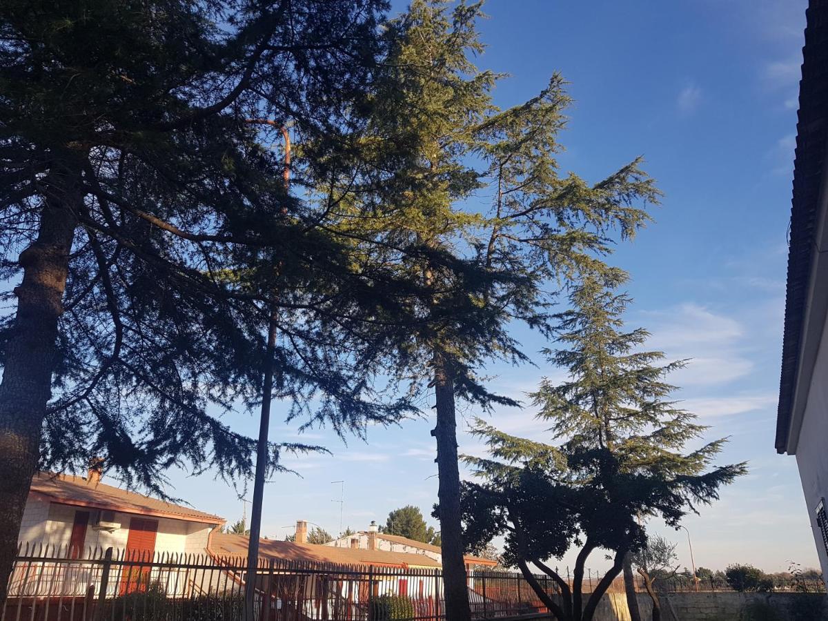 B&B La Pineta Quasani 外观 照片